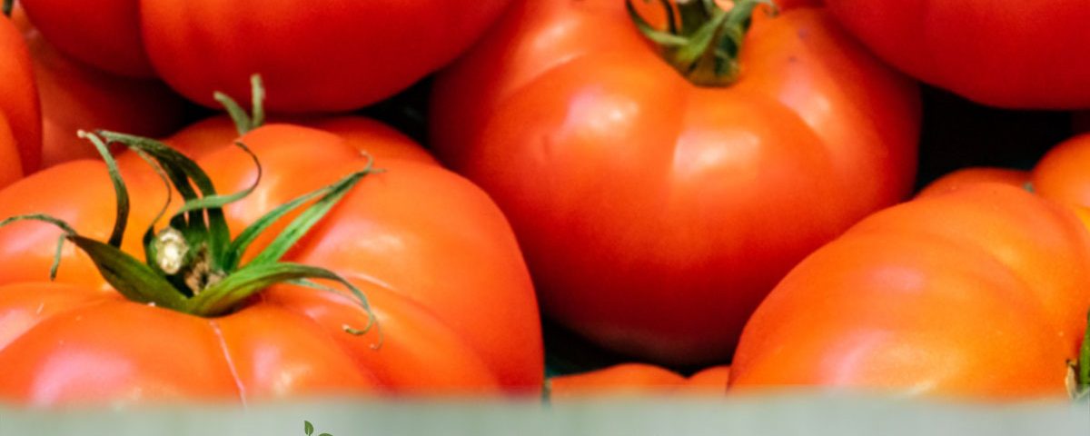 Beefsteak Tomatoes - Fresh Farm Produce on our Kalamazoo Michigan Farm Stand at Little Pistol Farms in Oshtemo Township
