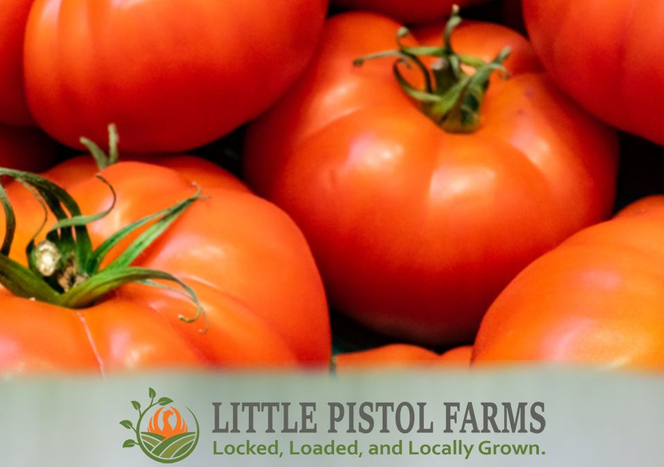 Beefsteak Tomatoes - Fresh Farm Produce on our Kalamazoo Michigan Farm Stand at Little Pistol Farms in Oshtemo Township