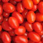 Grape Tomatoes