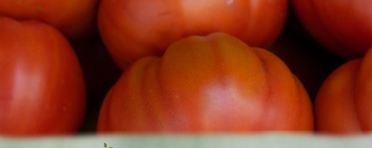 Heirloom Tomatoes - Fresh Farm Produce on our Kalamazoo Michigan Farm Stand at Little Pistol Farms in Oshtemo Township