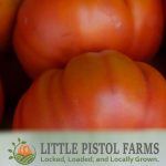 Heirloom Tomatoes - Fresh Farm Produce on our Kalamazoo Michigan Farm Stand at Little Pistol Farms in Oshtemo Township