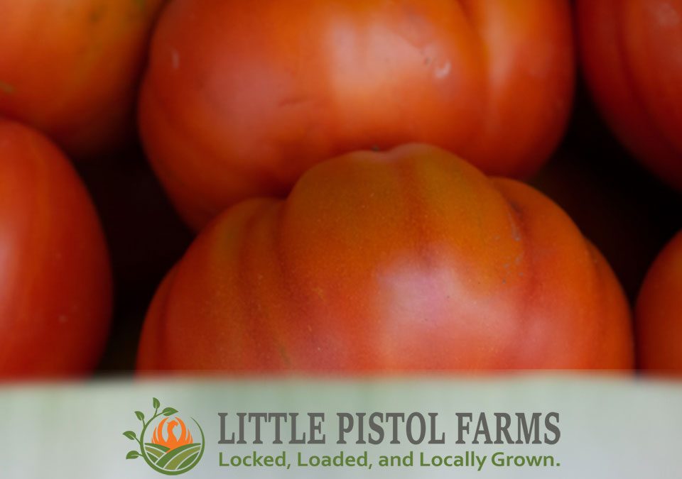 Heirloom Tomatoes - Fresh Farm Produce on our Kalamazoo Michigan Farm Stand at Little Pistol Farms in Oshtemo Township