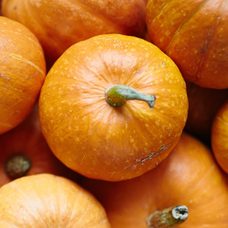 Kalamazoo Grown Produce