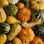 Small & Large Gourds