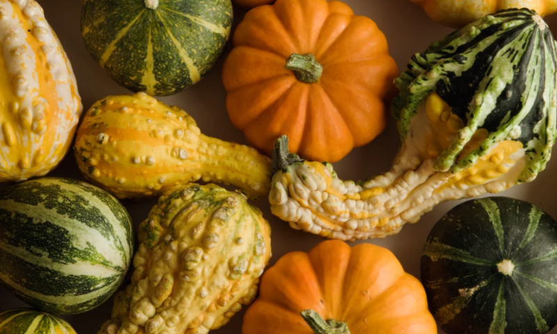 Small & Large Gourds