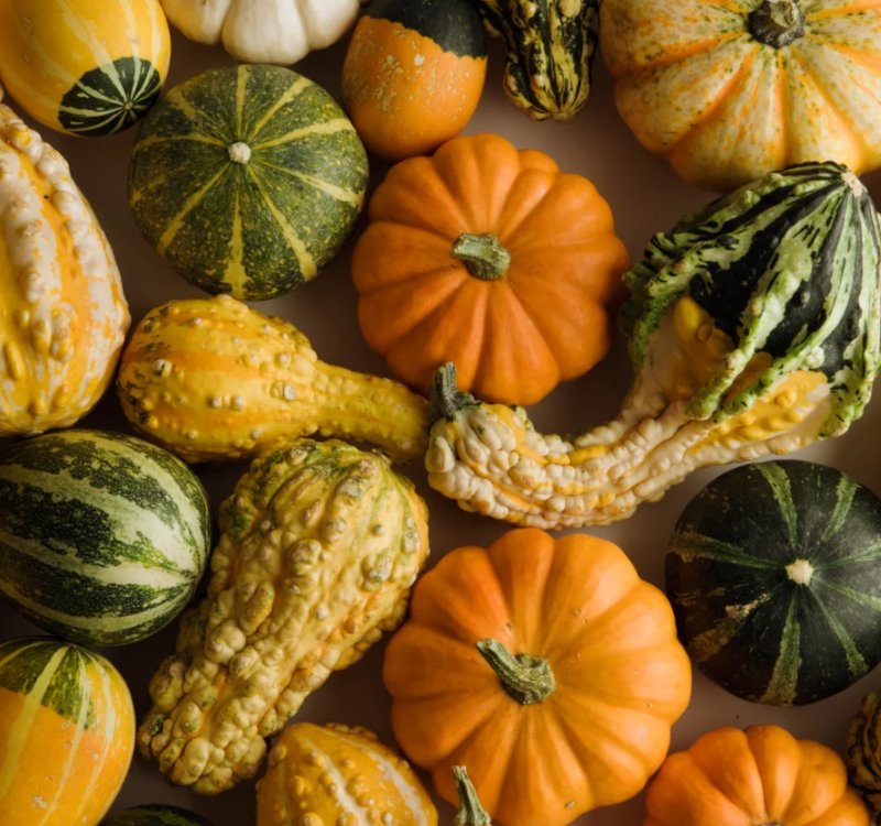 Small & Large Gourds