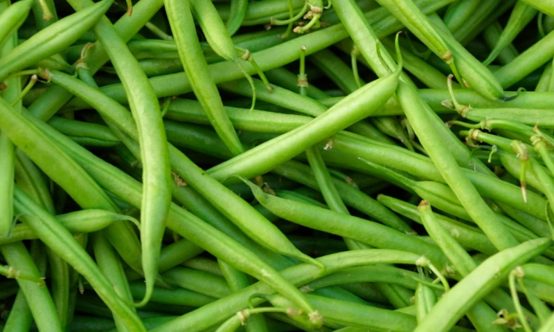 Stringless Green Beans