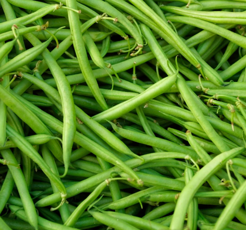 Stringless Green Beans