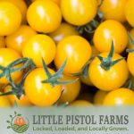 Yellow Cherry Tomatoes - Fresh Farm Produce on our Kalamazoo Michigan Farm Stand at Little Pistol Farms in Oshtemo Township