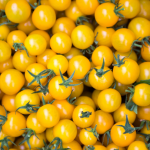 Yellow Cherry Tomatoes