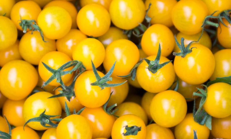 Yellow Cherry Tomatoes