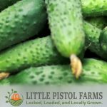 Farm Fresh Pickling Cucumbers - Bulk Cucumbers for Pickling Kalamazoo MI