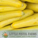 Farm Fresh Yellow Summer Squash