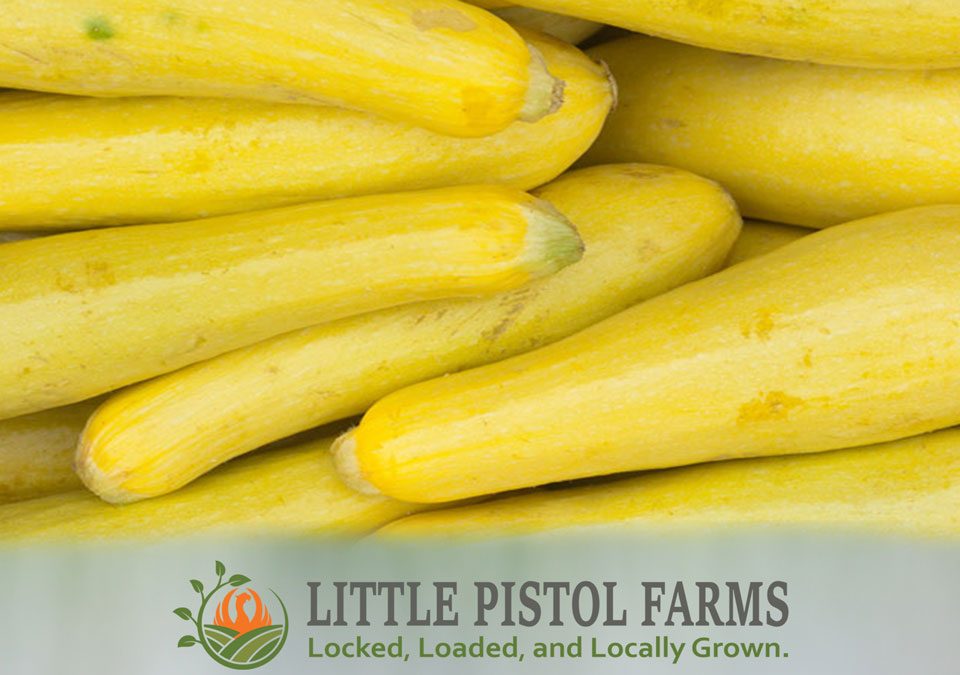 Farm Fresh Yellow Summer Squash