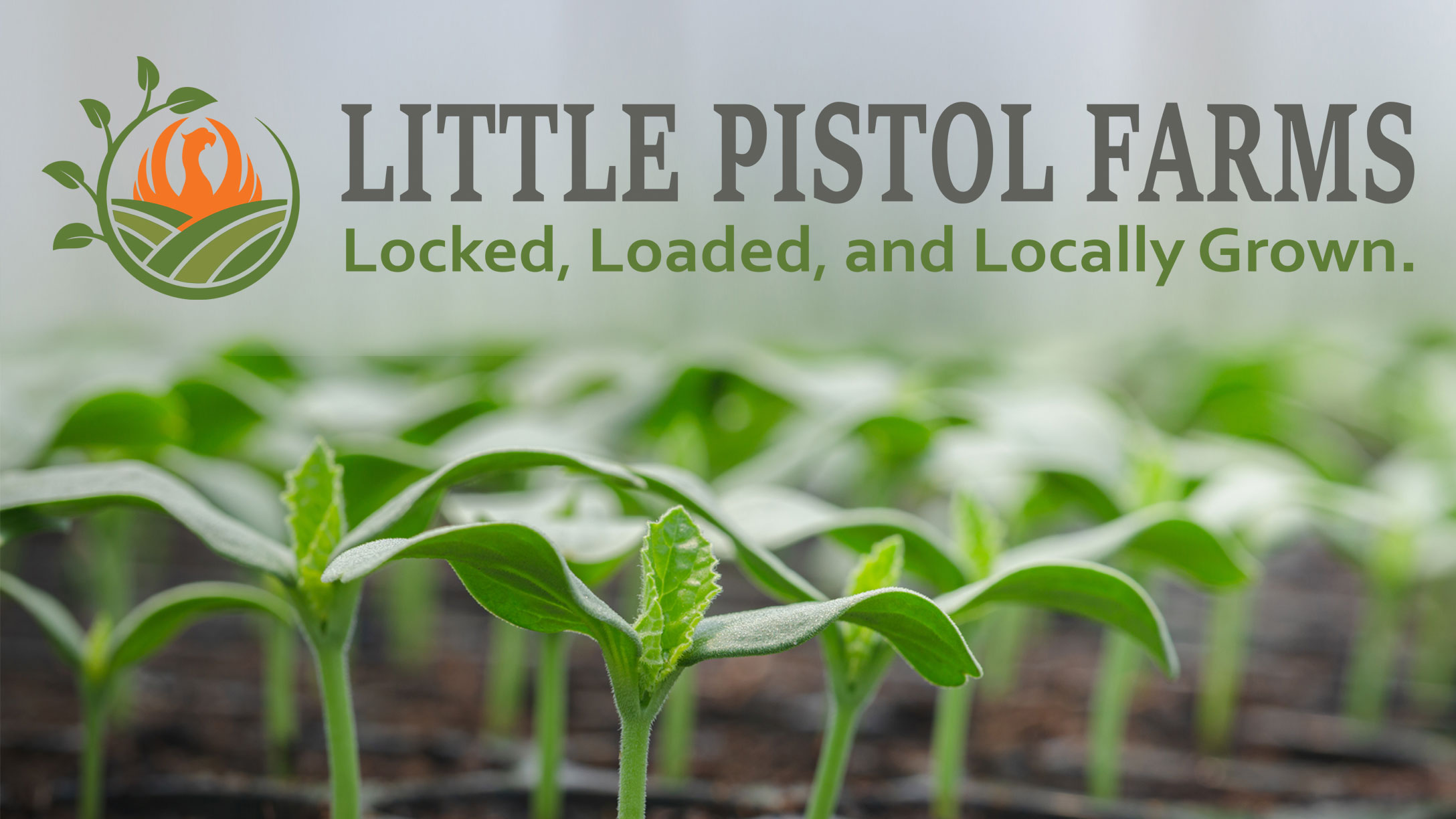 Little Pistol Farms LLC in Kalamazoo