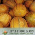 Cantaloupe Melons - Fresh Farm Produce on our Kalamazoo Michigan Farm Stand at Little Pistol Farms in Oshtemo Township