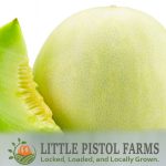 Honeydew Melons - Fresh Farm Produce on our Kalamazoo Michigan Farm Stand at Little Pistol Farms in Oshtemo Township