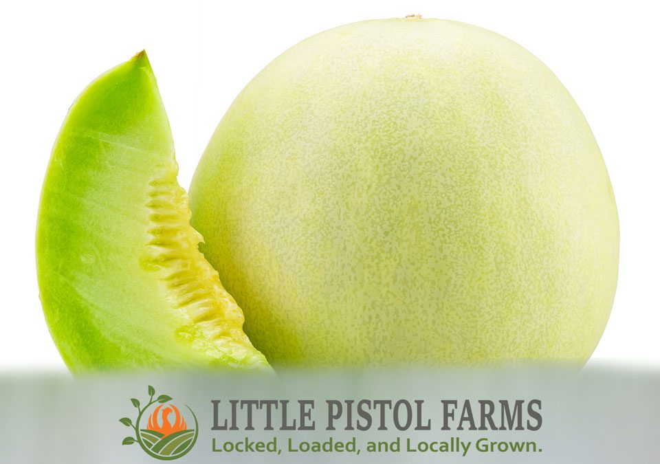 Honeydew Melons - Fresh Farm Produce on our Kalamazoo Michigan Farm Stand at Little Pistol Farms in Oshtemo Township