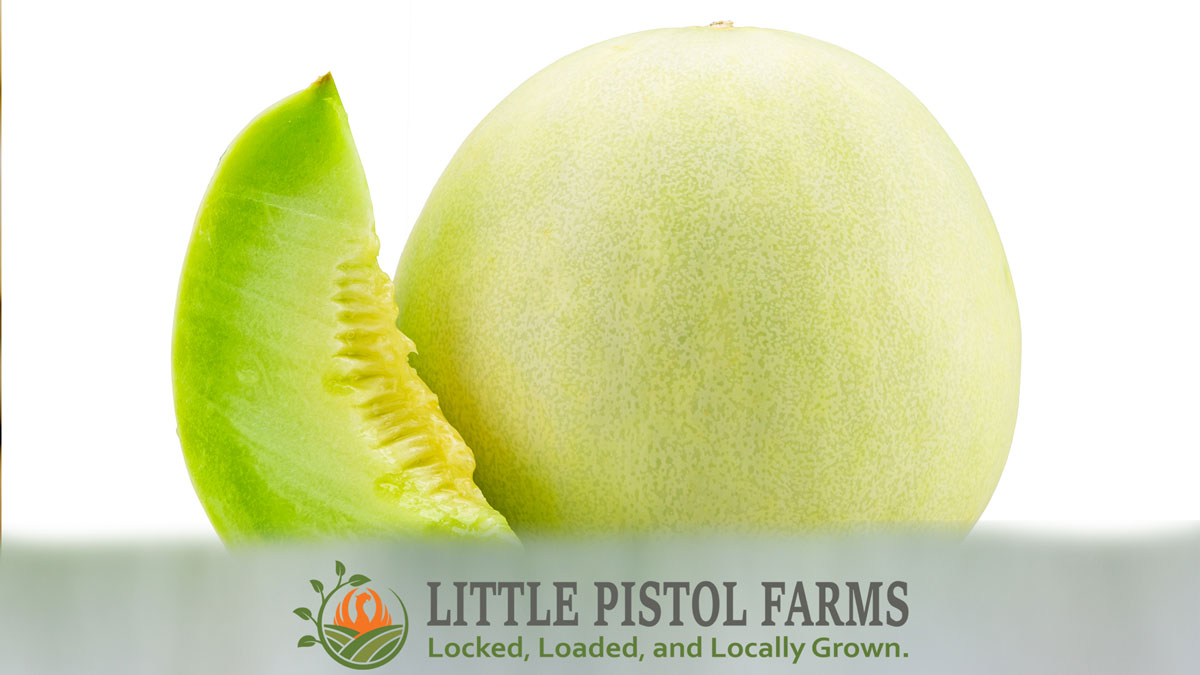 melonさま専用ページ Melon Magic — Organically Grown Company