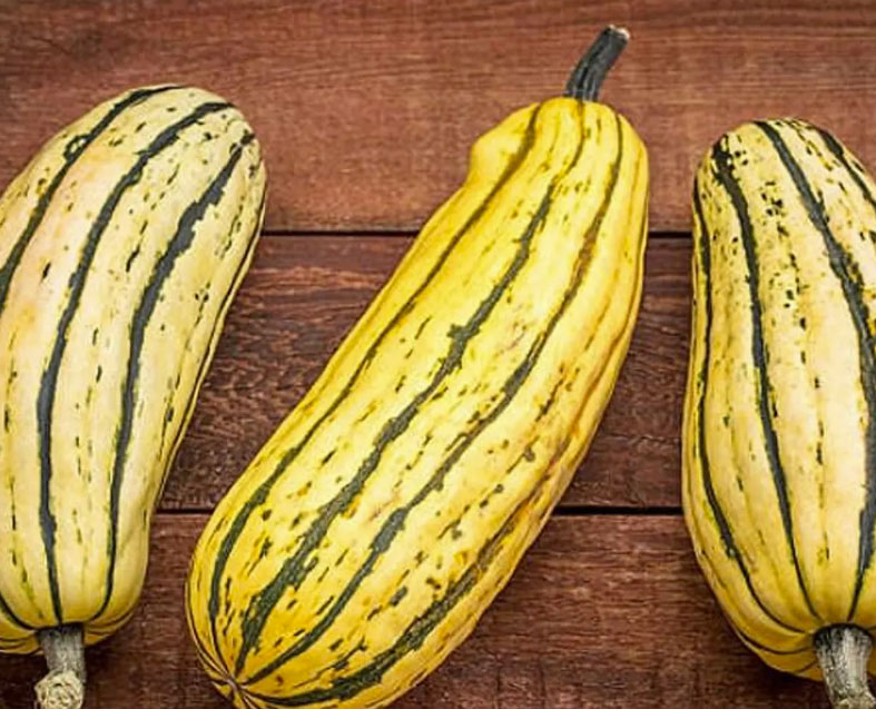 Delicata Squash - Near Me in Kalamazoo MI