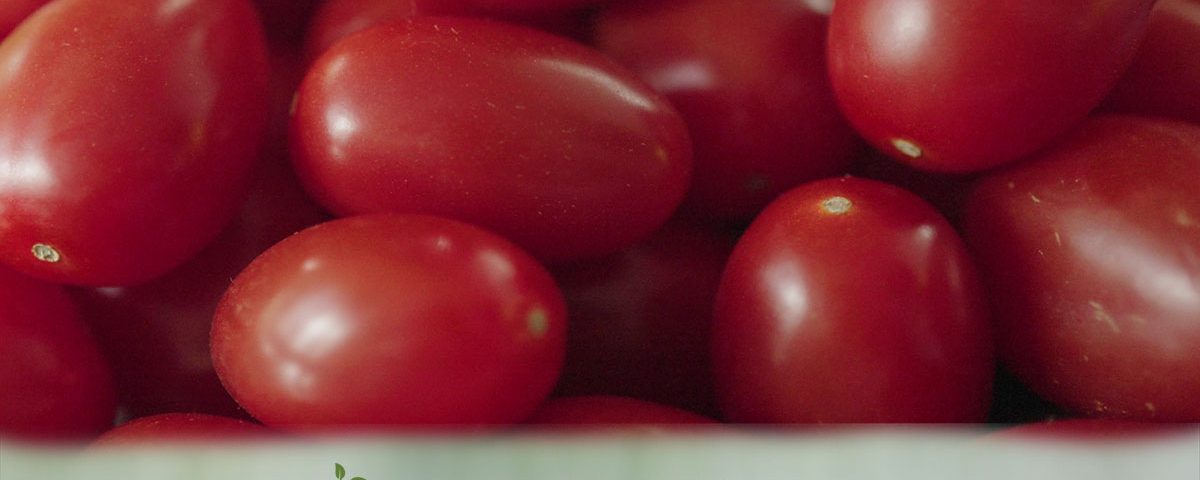 Grape Tomatoes - Fresh Farm Produce on our Kalamazoo Michigan Farm Stand at Little Pistol Farms in Oshtemo Township