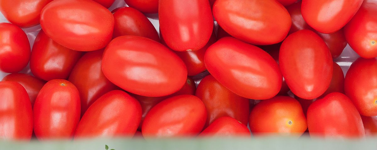 Juliet Tomatoes - Fresh Farm Produce on our Kalamazoo Michigan Farm Stand at Little Pistol Farms in Oshtemo Township