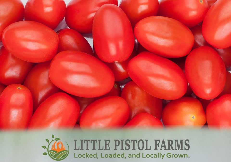 Juliet Tomatoes - Fresh Farm Produce on our Kalamazoo Michigan Farm Stand at Little Pistol Farms in Oshtemo Township