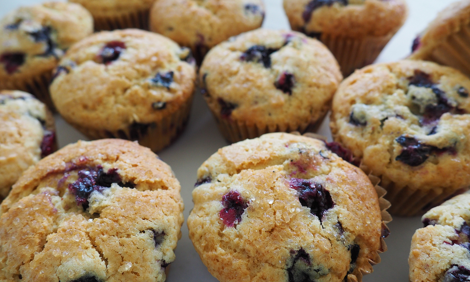 Lemon Blueberry Yellow Squash Muffins