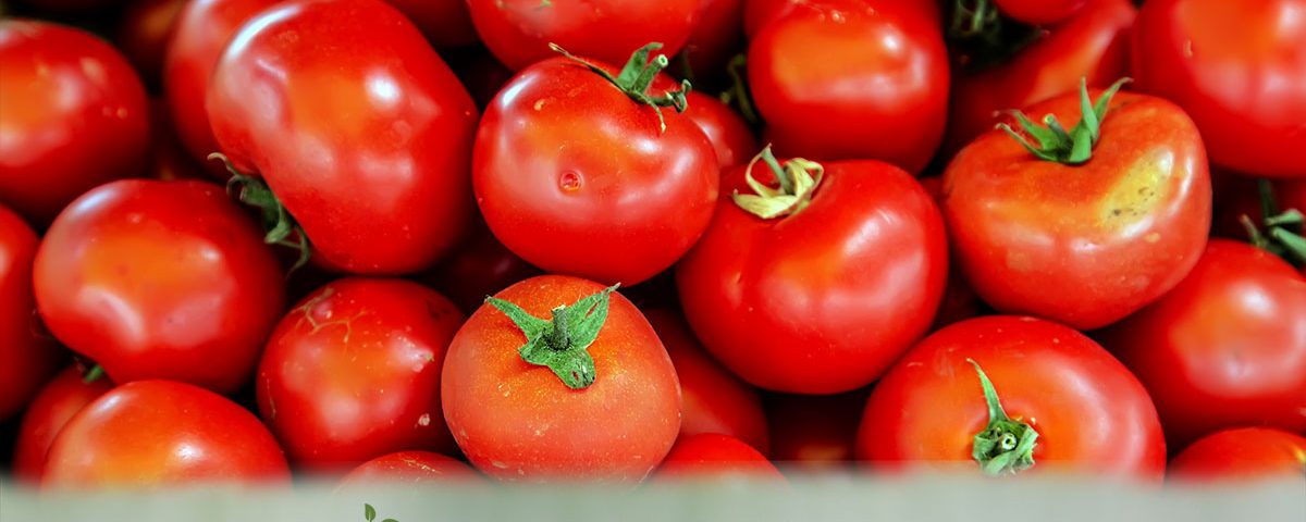 Rutgers Tomatoes Farm Market Kalamazoo MI