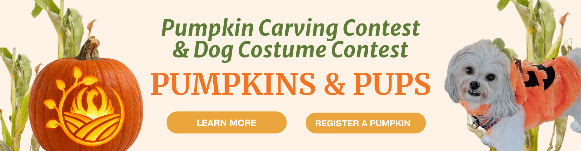 Pumpkin Carving Contest and Dog Costume Contest as Little Pistol Farms